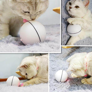 PurrBall - Self rotating toy for pets - Catnip Beasts