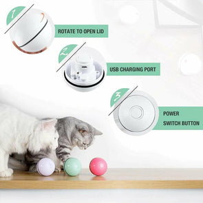 PurrBall - Self rotating toy for pets - Catnip Beasts