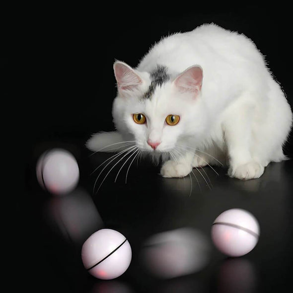 PurrBall - Self rotating toy for pets - Catnip Beasts