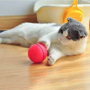 PurrBall - Self rotating toy for pets - Catnip Beasts