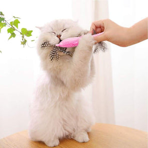 Fish shaped self-cleaning toothbrush with Catnip - Catnip Beasts