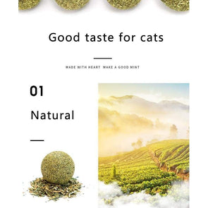 Natural Organic Catnip Ball - Catnip Beasts