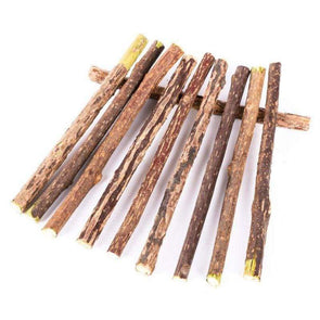 Natural Organic Catnip Sticks - Catnip Beasts