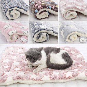 Sleeping Mat Thickened Soft Wool Blanket Portable Washable Warm Carpet-Catnip Beasts