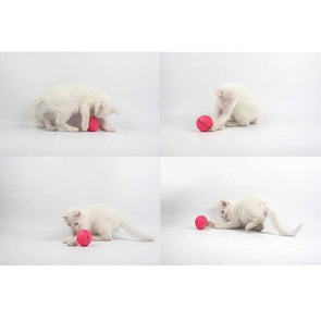 PurrBall - Self rotating toy for pets - Catnip Beasts