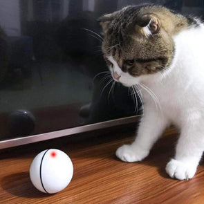 PurrBall - Self rotating toy for pets - Catnip Beasts