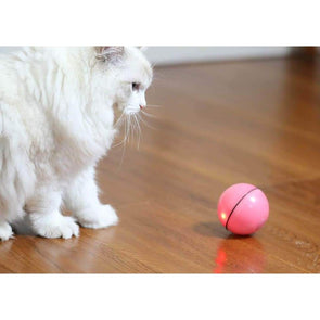 PurrBall - Self rotating toy for pets - Catnip Beasts