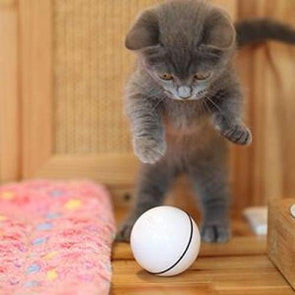 PurrBall - Self rotating toy for pets - Catnip Beasts