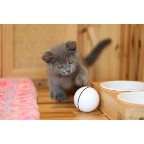 PurrBall - Self rotating toy for pets - Catnip Beasts